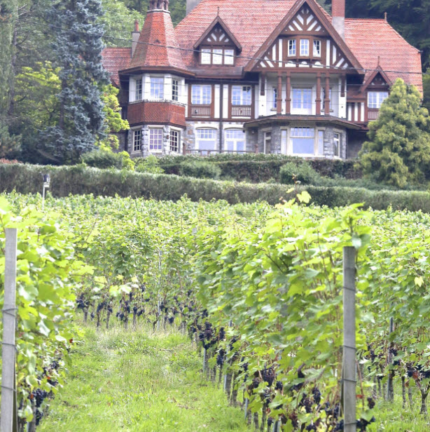Chateau Bon Baron, Belgium